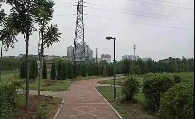 150596266.jpg